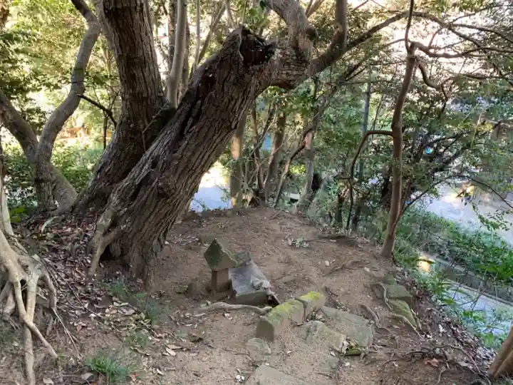 金比羅神社の自然