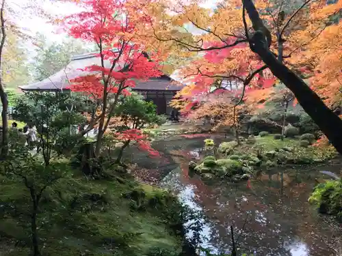 南禅寺の景色