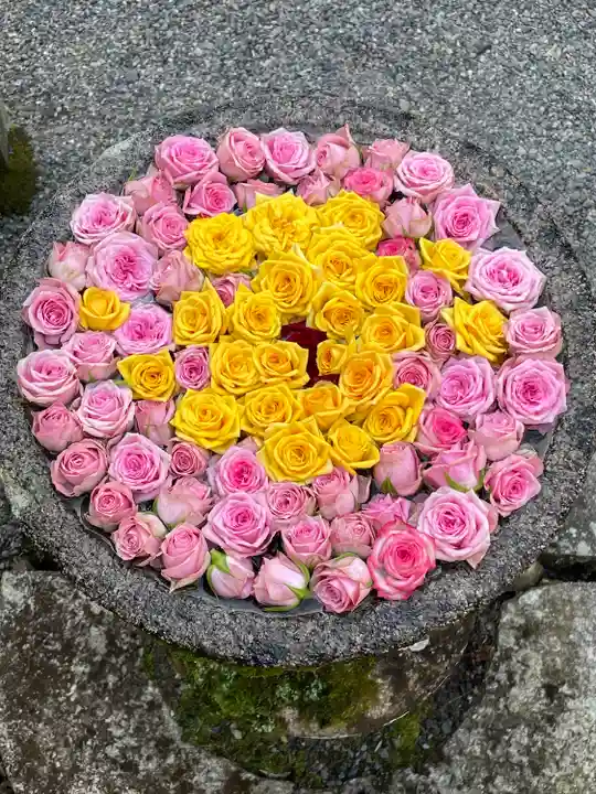 丹生都比売神社(和歌山県)