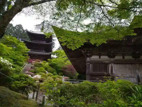 常樂寺(滋賀県)