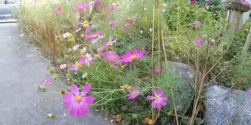 井際山 如意輪寺(愛知県)