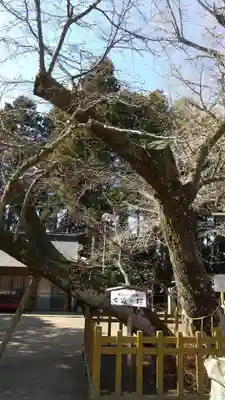 水戸八幡宮のその他建物