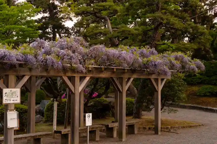 白山神社(新潟県)