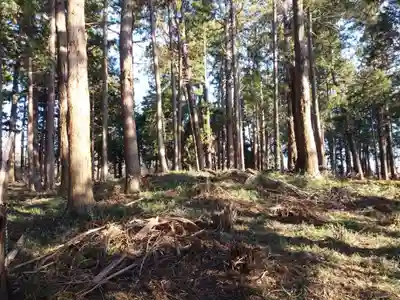 稲荷神社の自然