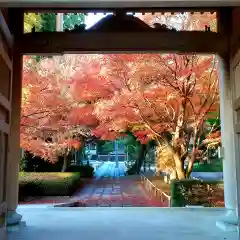 西見寺の山門