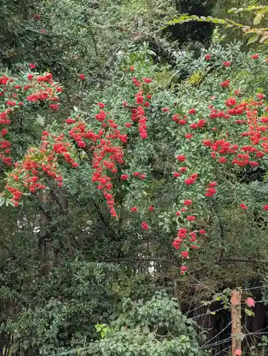 藏王高根神社(神奈川県)