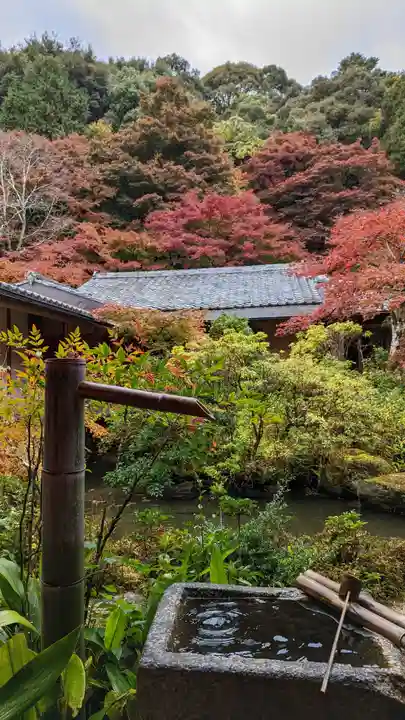 実相院門跡(京都府)
