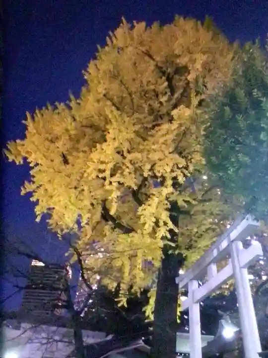 熊野神社(東京都)
