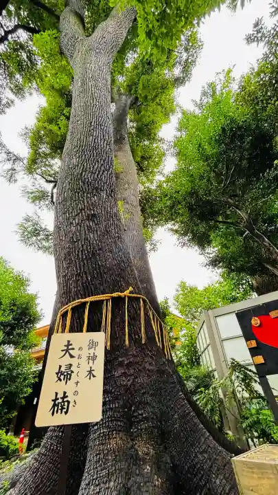 鳩ヶ谷氷川神社(埼玉県)