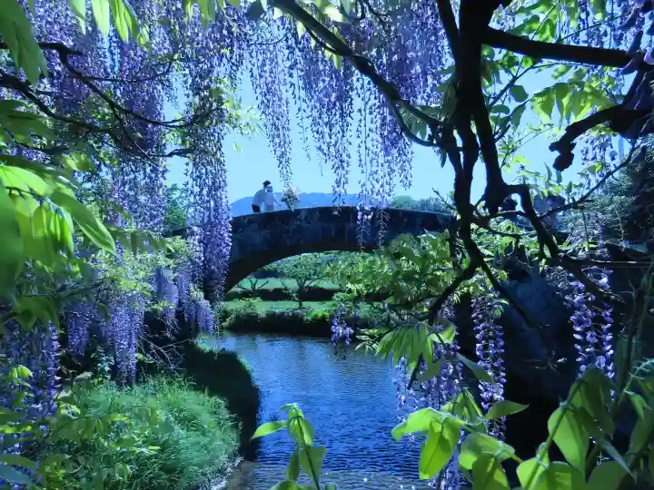 西寒多神社(大分県)