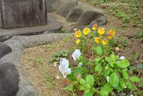 横浜御嶽神社(神奈川県)