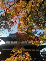 関善光寺(岐阜県)