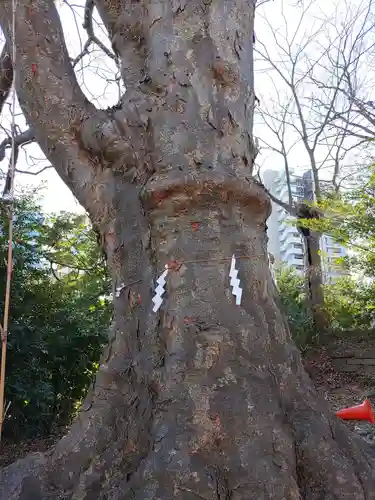 愛宕神社(福島県)