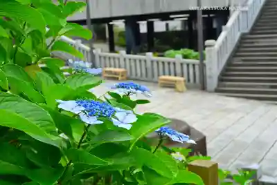 伊勢山皇大神宮(神奈川県)