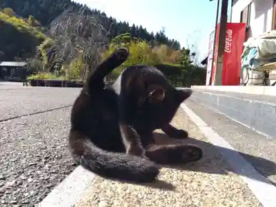 御誕生寺（猫寺）(福井県)
