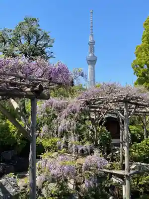 亀戸天神社(東京都)