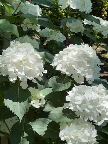 建長寺(神奈川県)