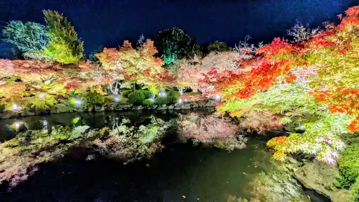 東寺(教王護国寺)(京都府)