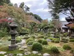 金剛寺(大阪府)