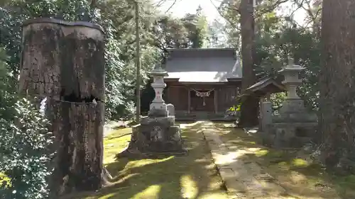 子安神社の本殿・本堂