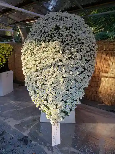 明治神宮(東京都)