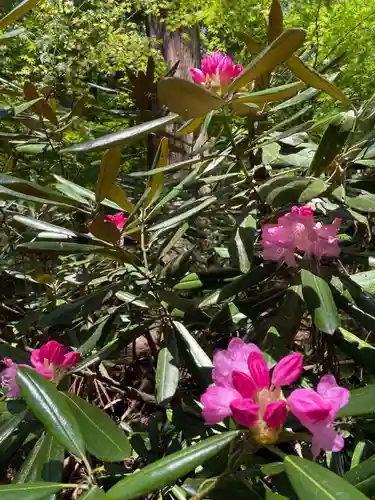 成相寺(京都府)