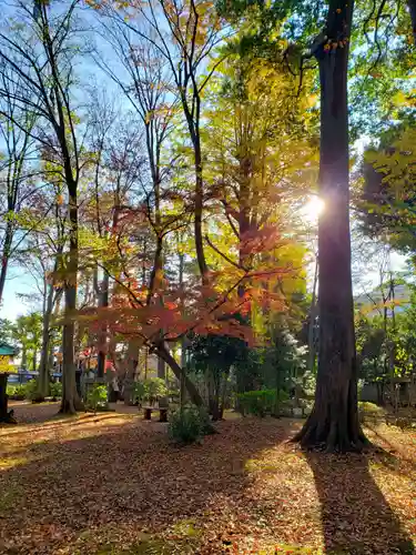 妙法寺(東京都)