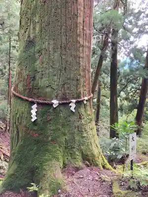 玉置神社(奈良県)