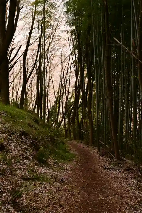 熊野神社(愛媛県)