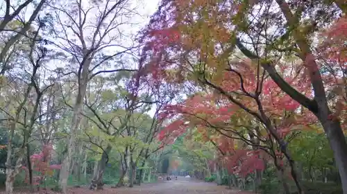 賀茂御祖神社（下鴨神社）のその他建物
