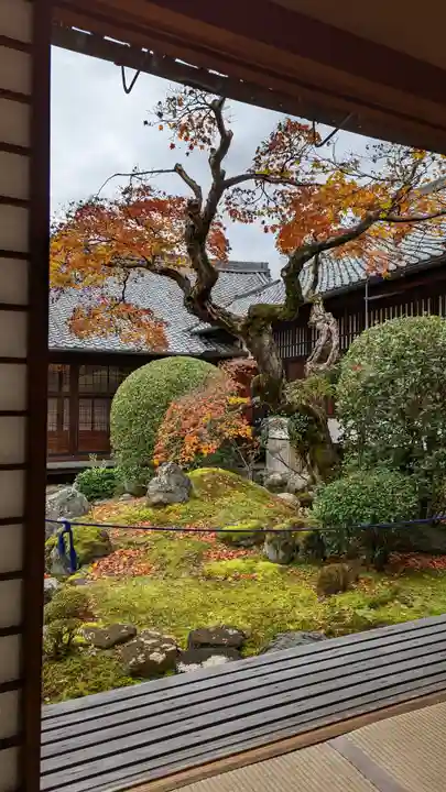 三宝院(三宝院門跡)(京都府)