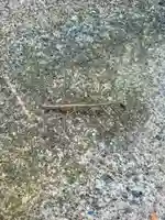 蚊里田八幡宮(長野県)