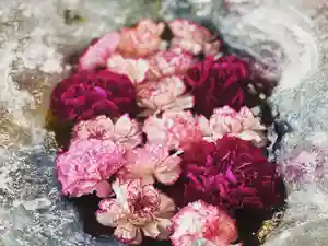 札幌諏訪神社の手水舎(2022年01月07日(金) 11時29分55秒投稿)