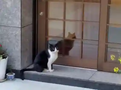 小野八幡神社の動物