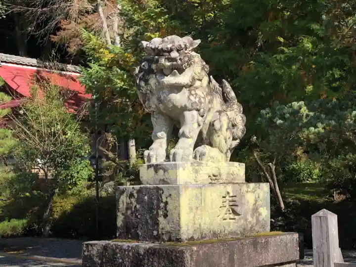 出雲大神宮の狛犬