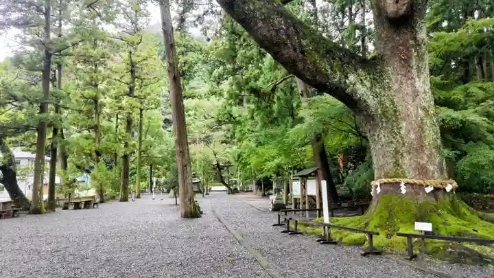 事任八幡宮(静岡県)
