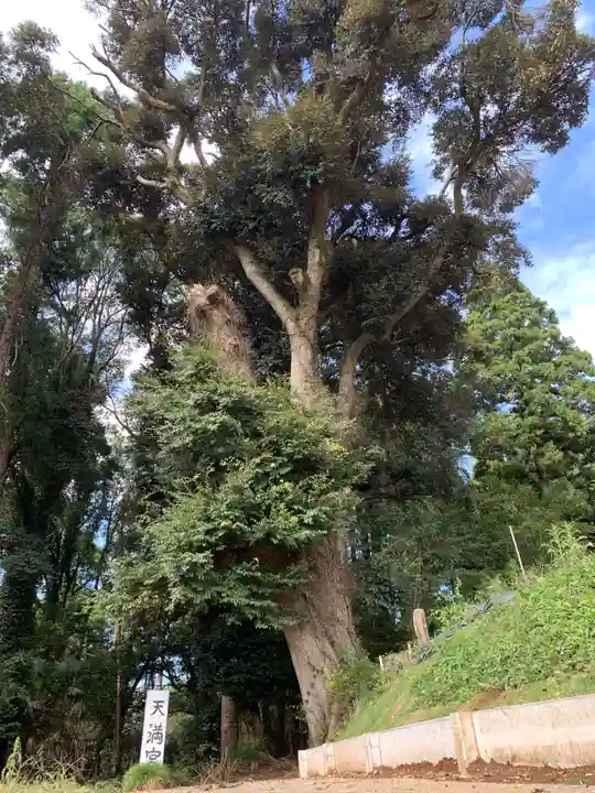 天満宮の自然