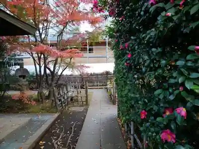 愛宕神社(東京都)
