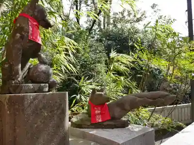 白笹稲荷神社の狛犬