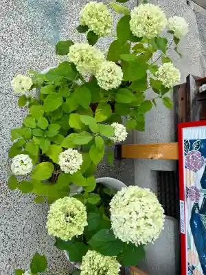 六孫王神社(京都府)