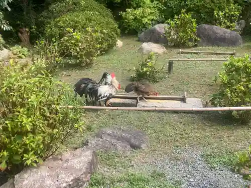 観音寺(京都府)