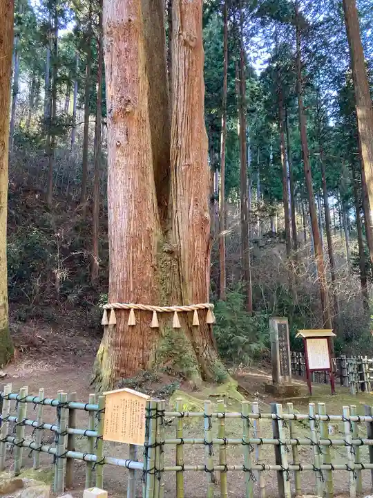 御岩神社の自然