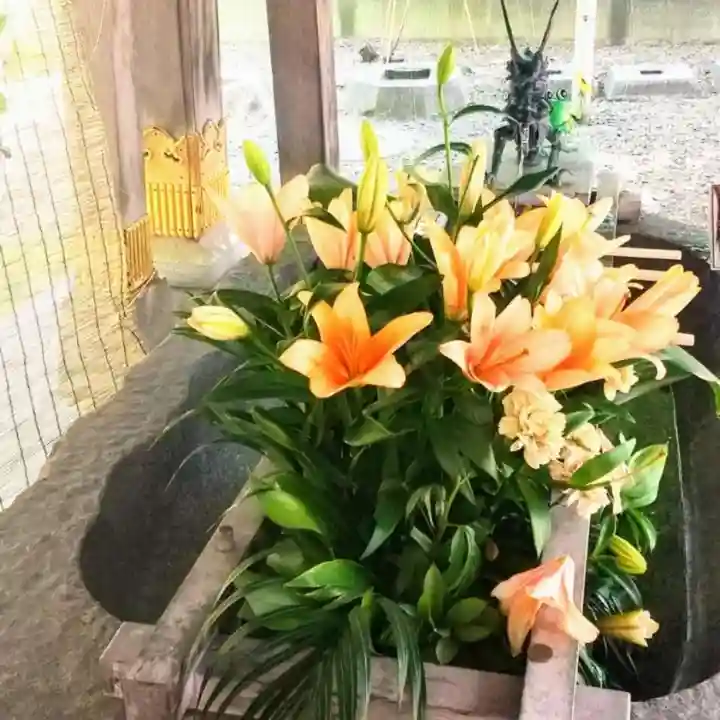 彌彦神社 (伊夜日子神社)の手水舎