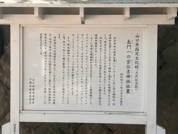 住吉神社の{uncategorized: "未分類", other: "その他", undefined: "問題あり", building: "その他建物", grave: "お墓", sacred_gate: "鳥居", guardian: "狛犬", statue: "像", buddha: "仏像", history: "歴史", nature: "自然", garden: "庭園", animal: "動物", pagoda: "塔", temizu: "手水舎", mountain_gate: "山門・神門", sanctuary: "本殿・本堂", subordinate: "末社・摂社", art: "芸術", scenery: "景色", jizo: "地蔵", ema: "絵馬", goshuin: "御朱印", omikuji: "おみくじ", items: "授与品その他", amulet: "お守り", goshuincho: "御朱印帳", eats: "食事", festival: "お祭り", votive_dance: "神楽", shichigosan: "七五三参", wedding: "結婚式", experience: "体験その他", initially: "初詣", around: "周辺", anti_infection: "感染症対策"}