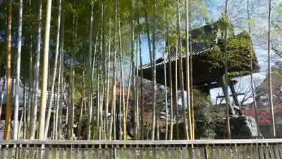 修禅寺(静岡県)