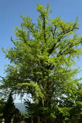 大窪寺(香川県)