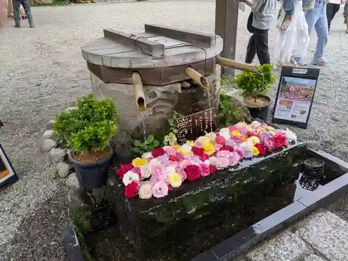 深大寺(東京都)