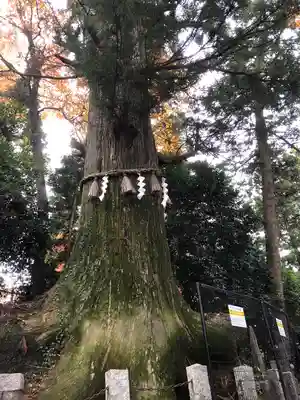 高尾山薬王院(東京都)