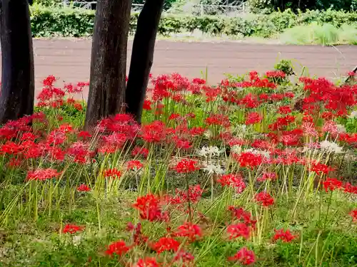 祖光院(千葉県)