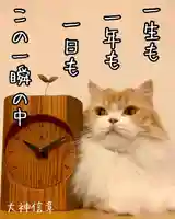 西教寺(下松駅徒歩5分)(山口県)